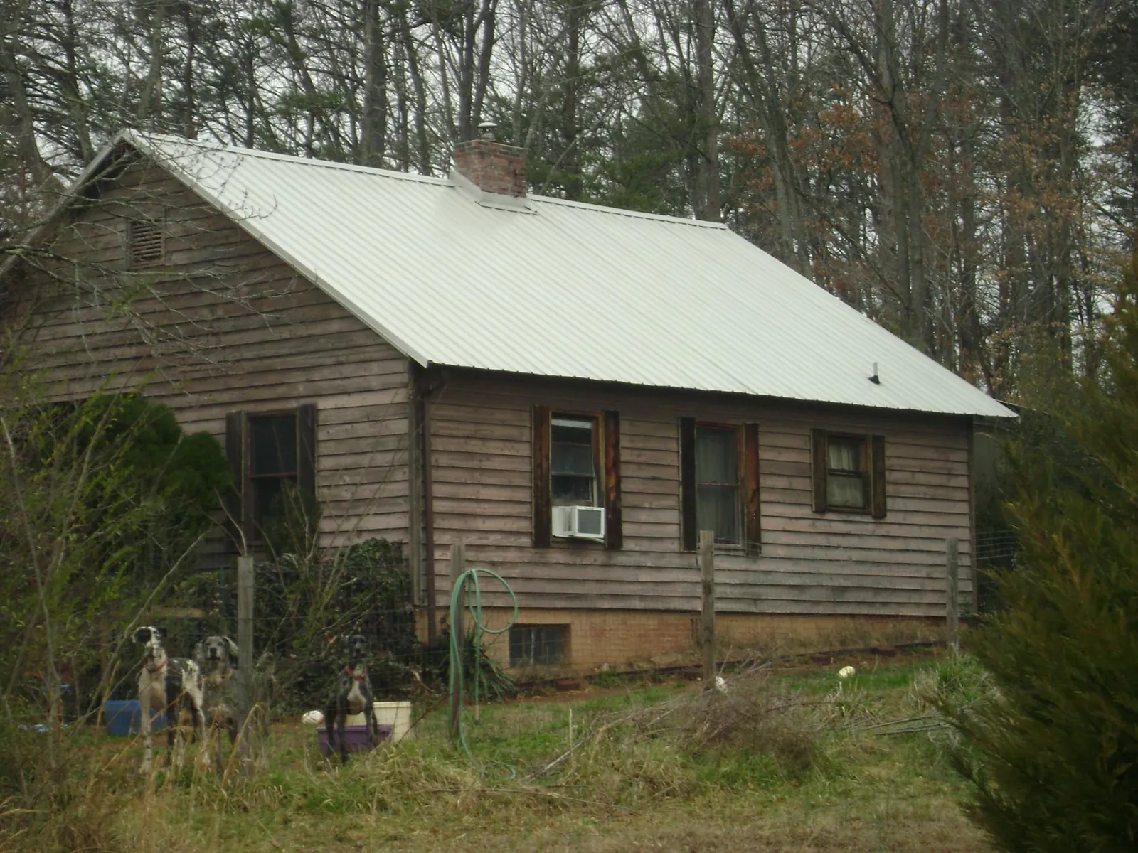 White metal roof on an old wood sided farmhouse, from a Asphalt Shingle Roof Repair job in Twin Lakes